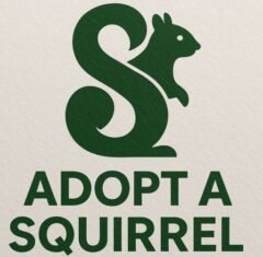 adoptasquirrelnow.com